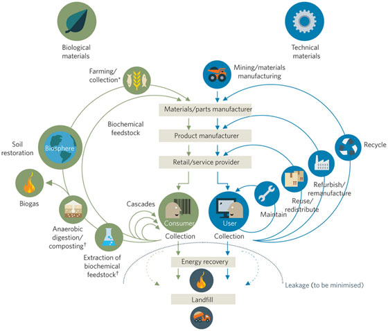 The circular economy