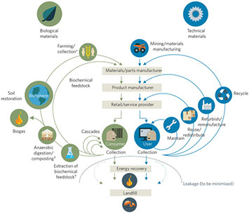 The circular economy